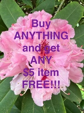 Buy Anything from My Closet and I’ll be Happy to Include any $5 Item FREE!!!